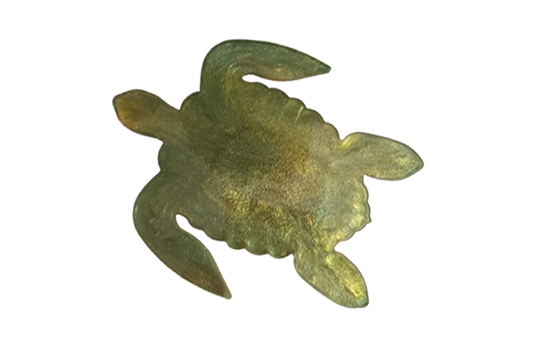 Schildkröte Hauptansicht